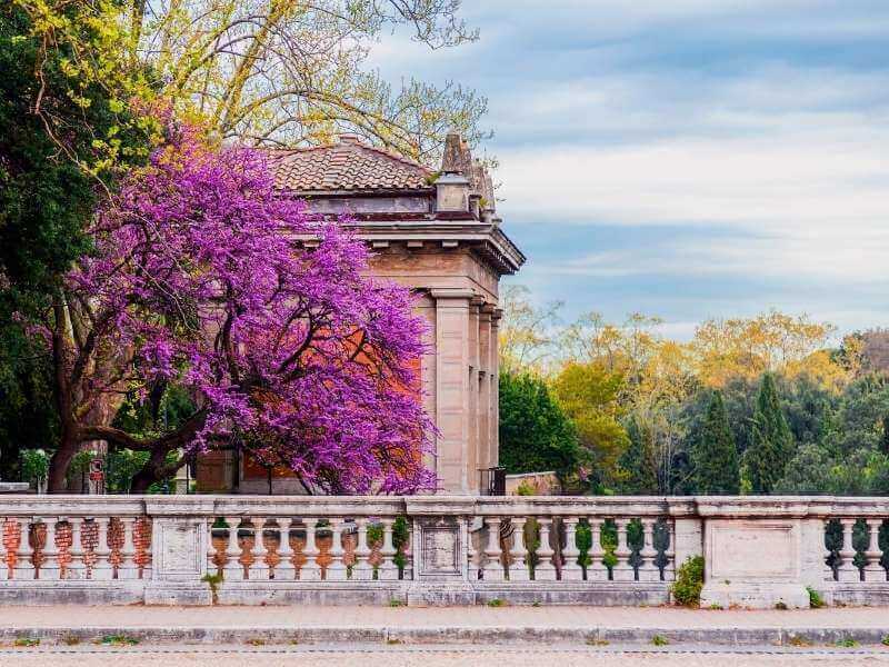 Villa-Borghese-Nature Photography